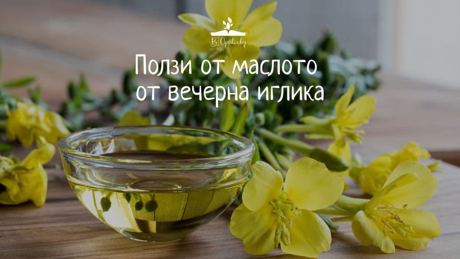 маслото от вечерна иглика