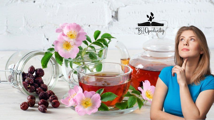 Чай от шипка